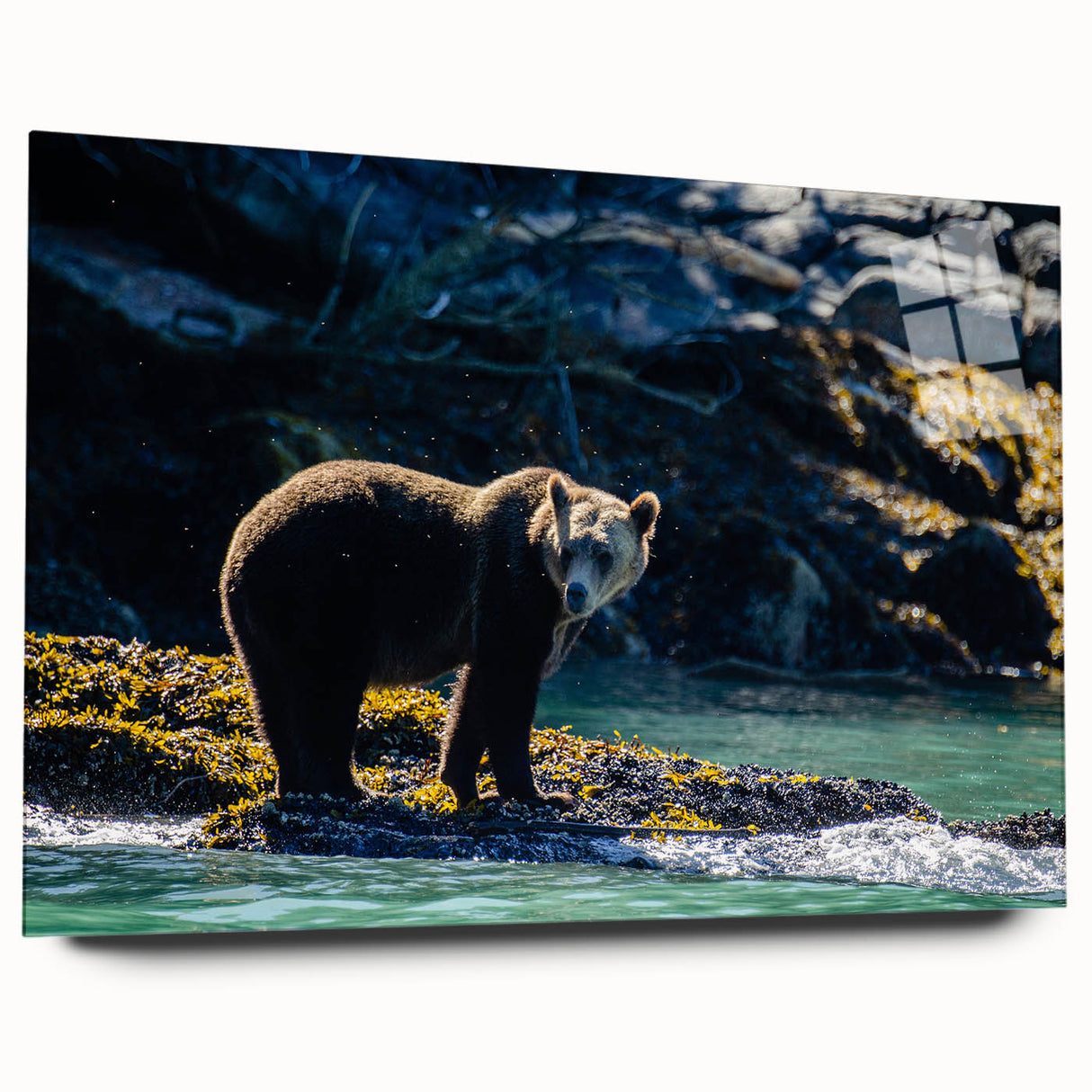 Large abstract wall art of British Columbia scenery in muted green and blue tones on acrylic glass.