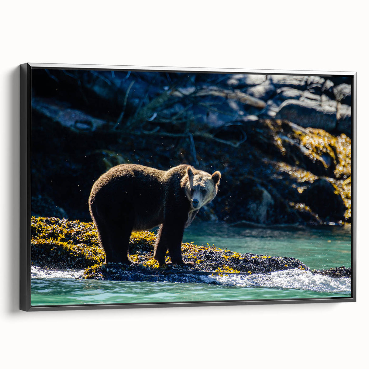 Black and white wall art featuring a vintage poster art style landscape of British Columbia on framed canvas.