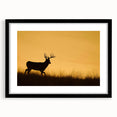Extra large framed abstract art print of vibrant, colorful textures, ideal for living room decor.
