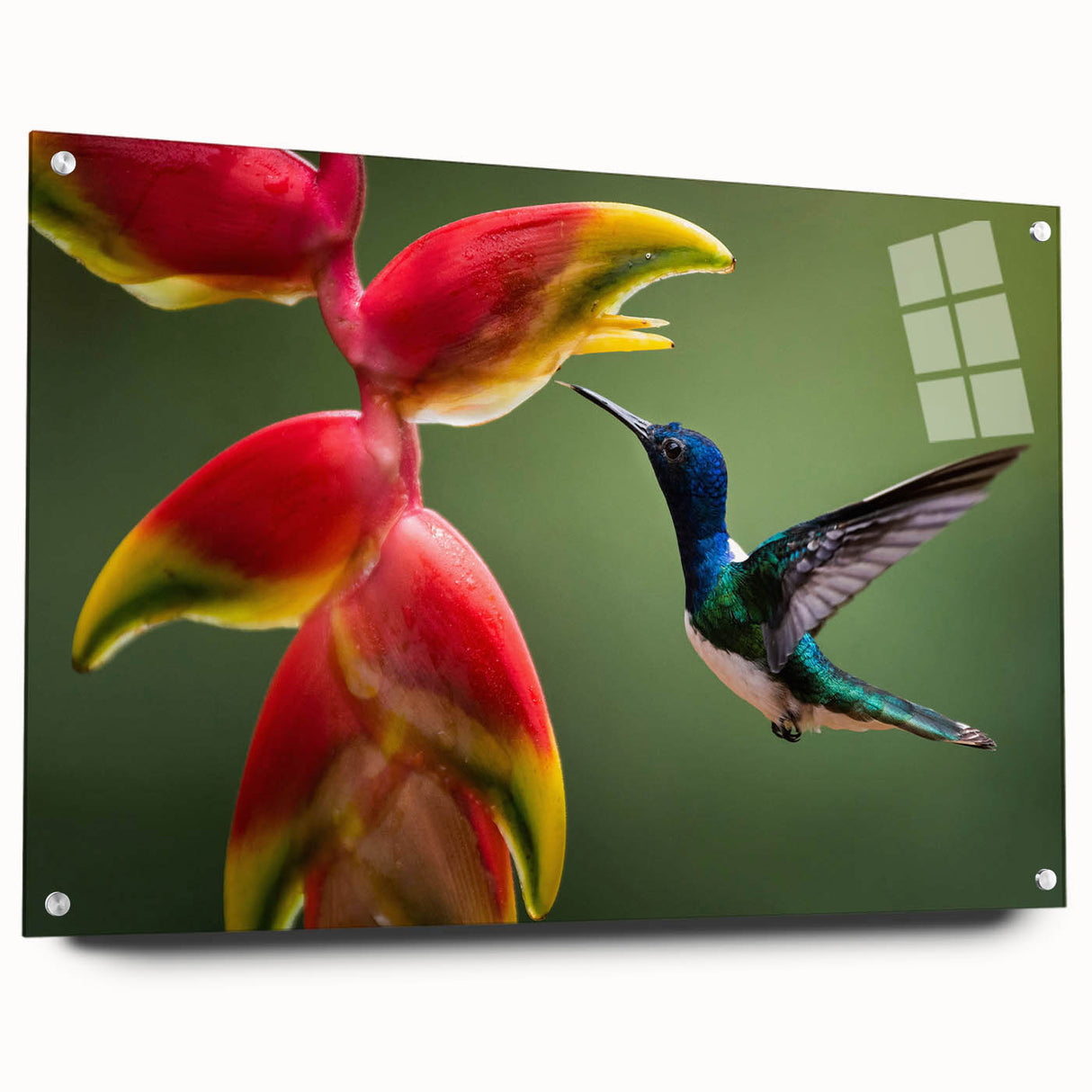 Acrylic print of a Costa Rican landscape with lush greenery and a waterfall, in vivid green and blue tones.