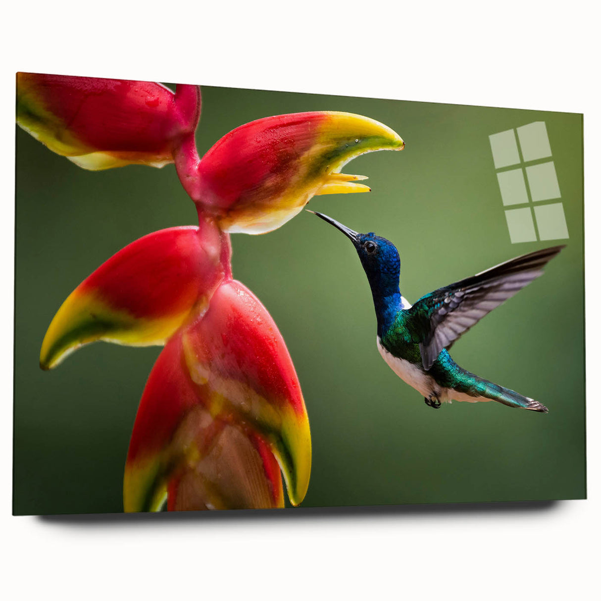Large abstract wall art of a Costa Rican landscape in vibrant greens and blues on acrylic glass.