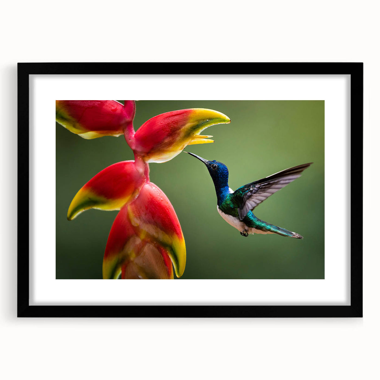 Extra large abstract art print of a vibrant, colorful Central American landscape on textured canvas, framed in black.