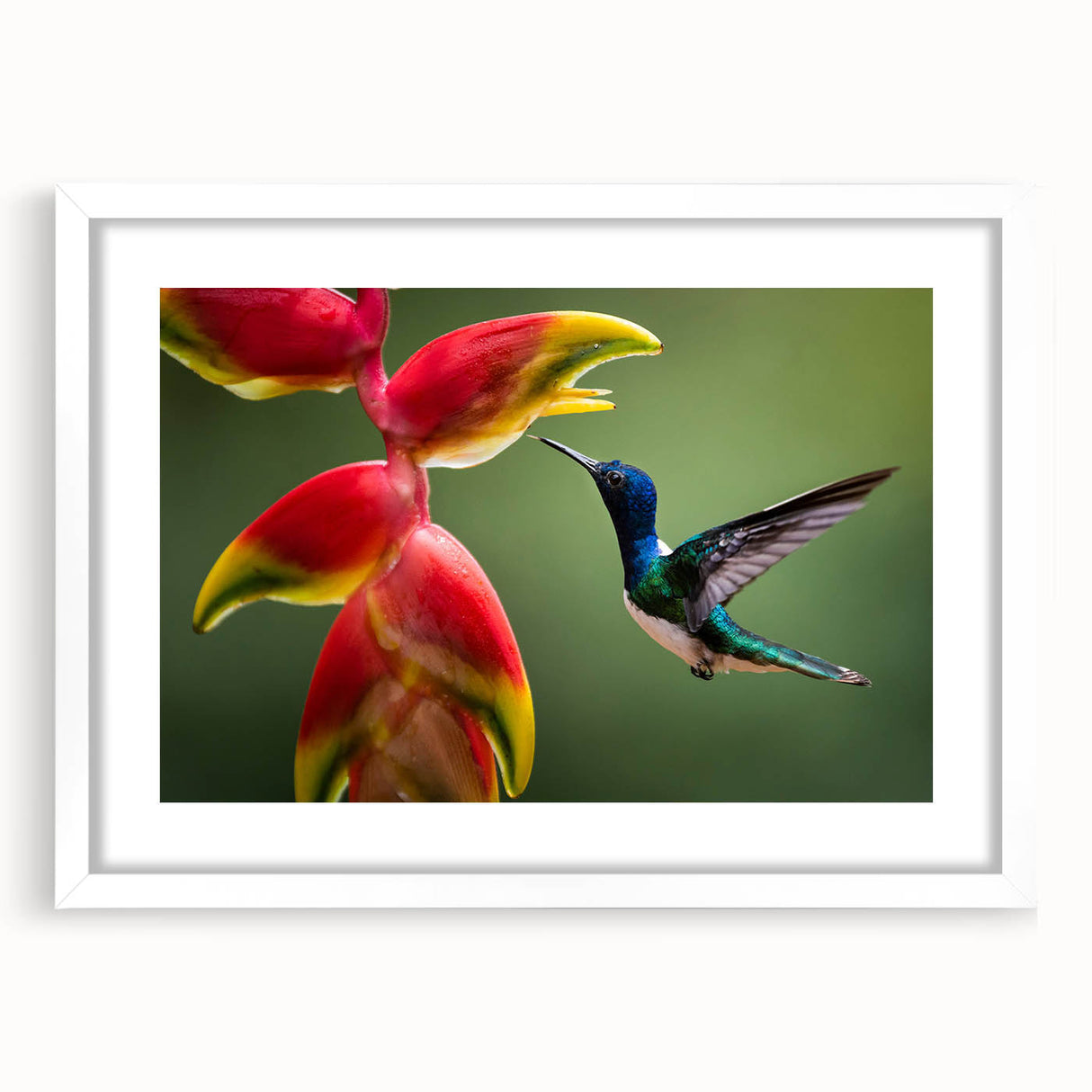 Abstract art print of a Costa Rican landscape in muted green and blue tones, framed with a white mat.