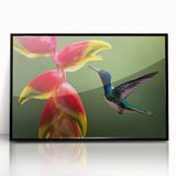 Large abstract wall art depicting a Central American scenery, in a mid-century modernist style on a framed acrylic.