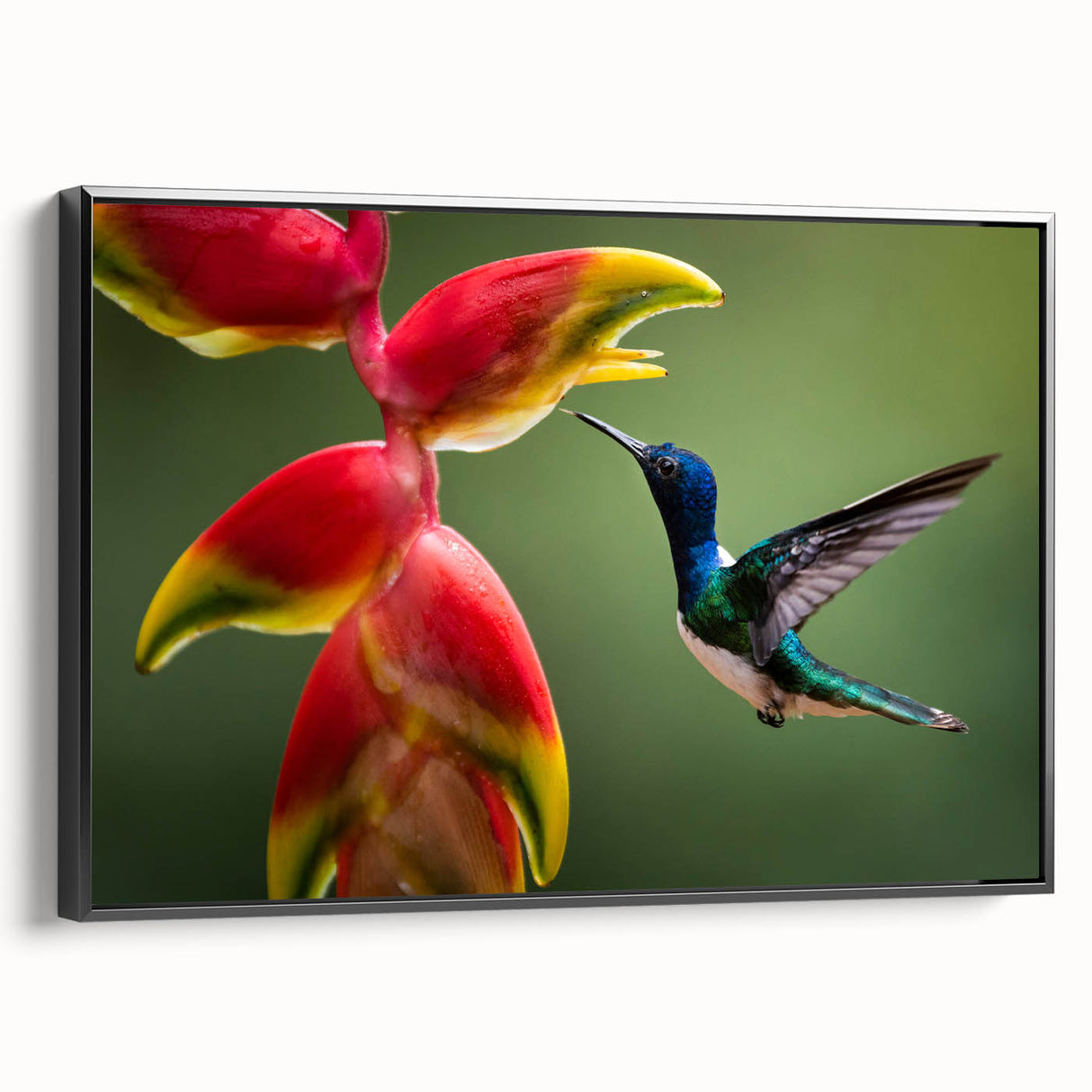 Black and white framed canvas of a Costa Rican landscape, ideal for bedroom wall art.