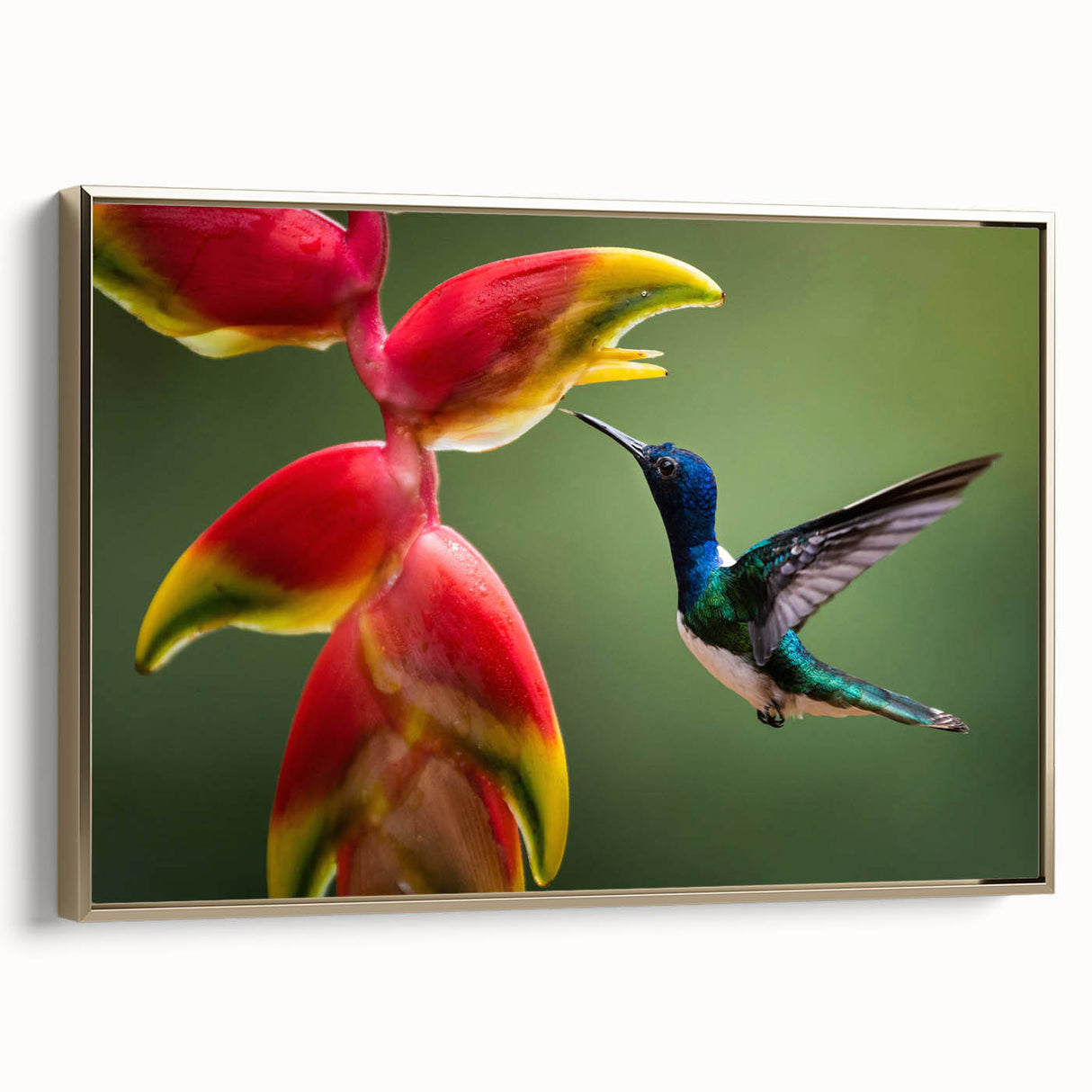 Vintage poster art of a Costa Rican landscape on framed canvas, featuring vibrant, colorful art elements.