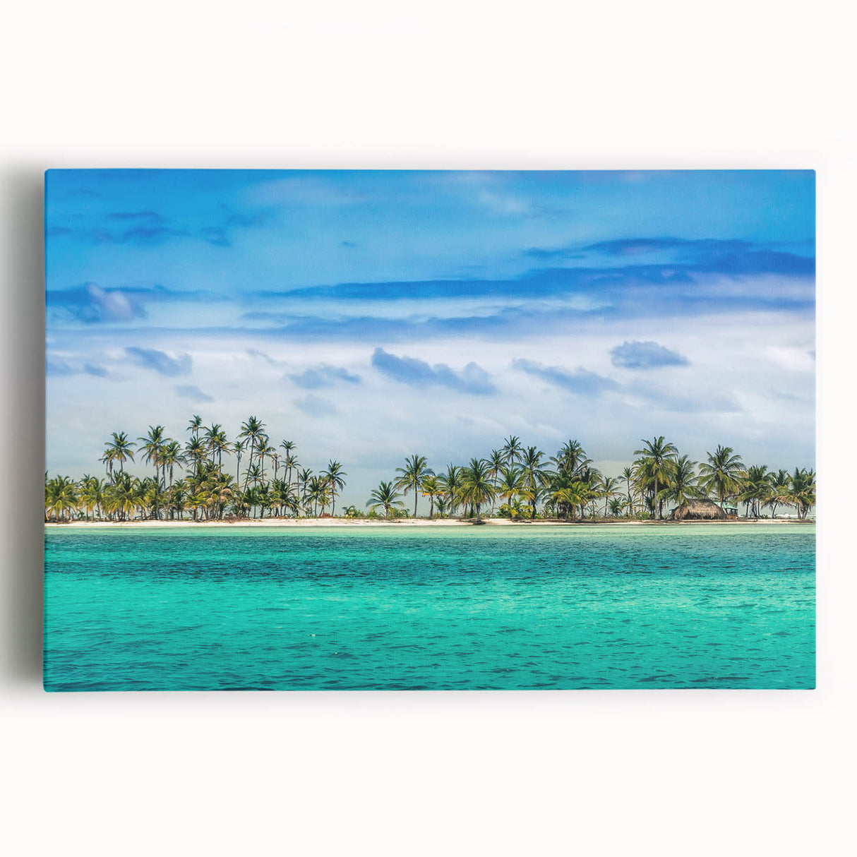 Black and white stretched canvas of Panama scenery, ideal for kitchen wall art.
