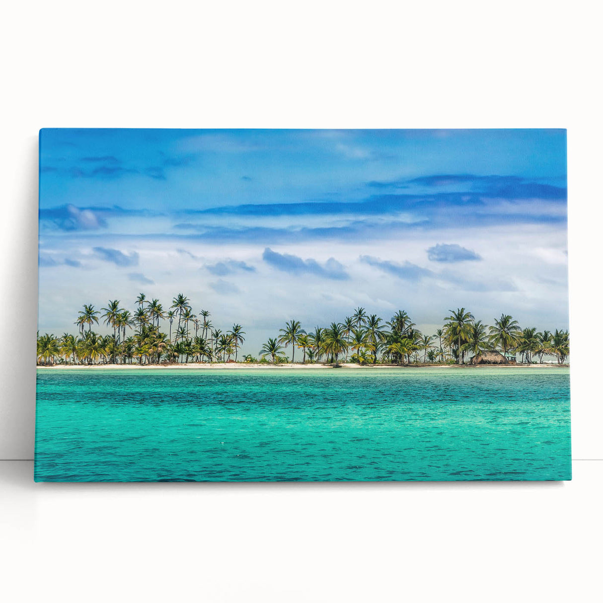 Black and white large art print of Central America scenery on stretched canvas, ideal for kitchen wall art.