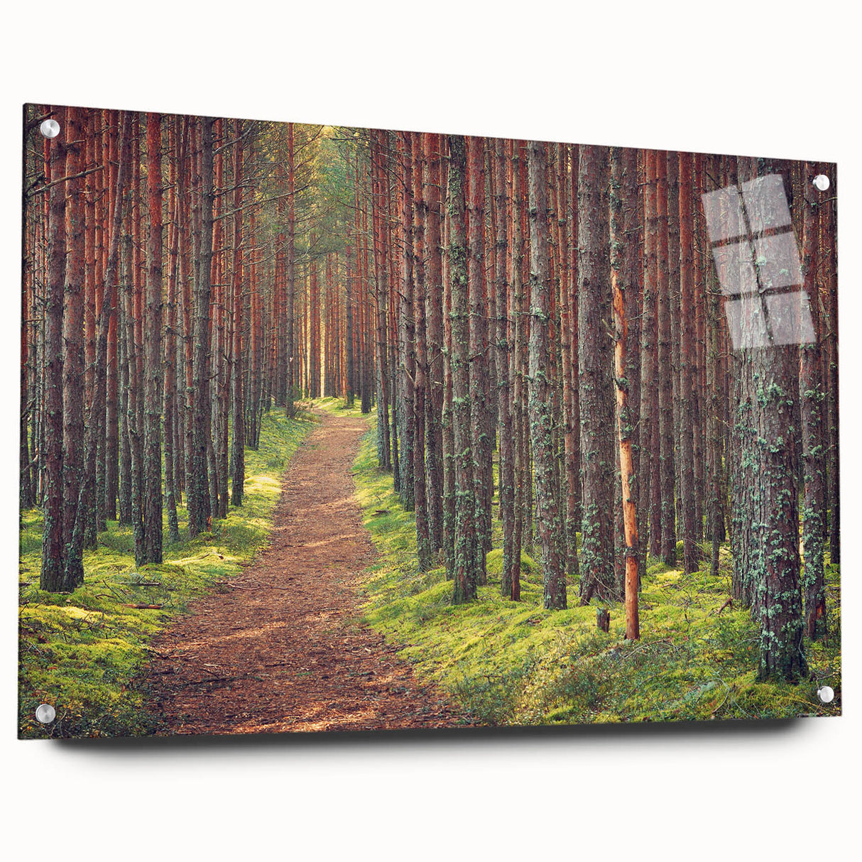 Acrylic print of a large abstract depiction of a European scenery in muted blues and greens.