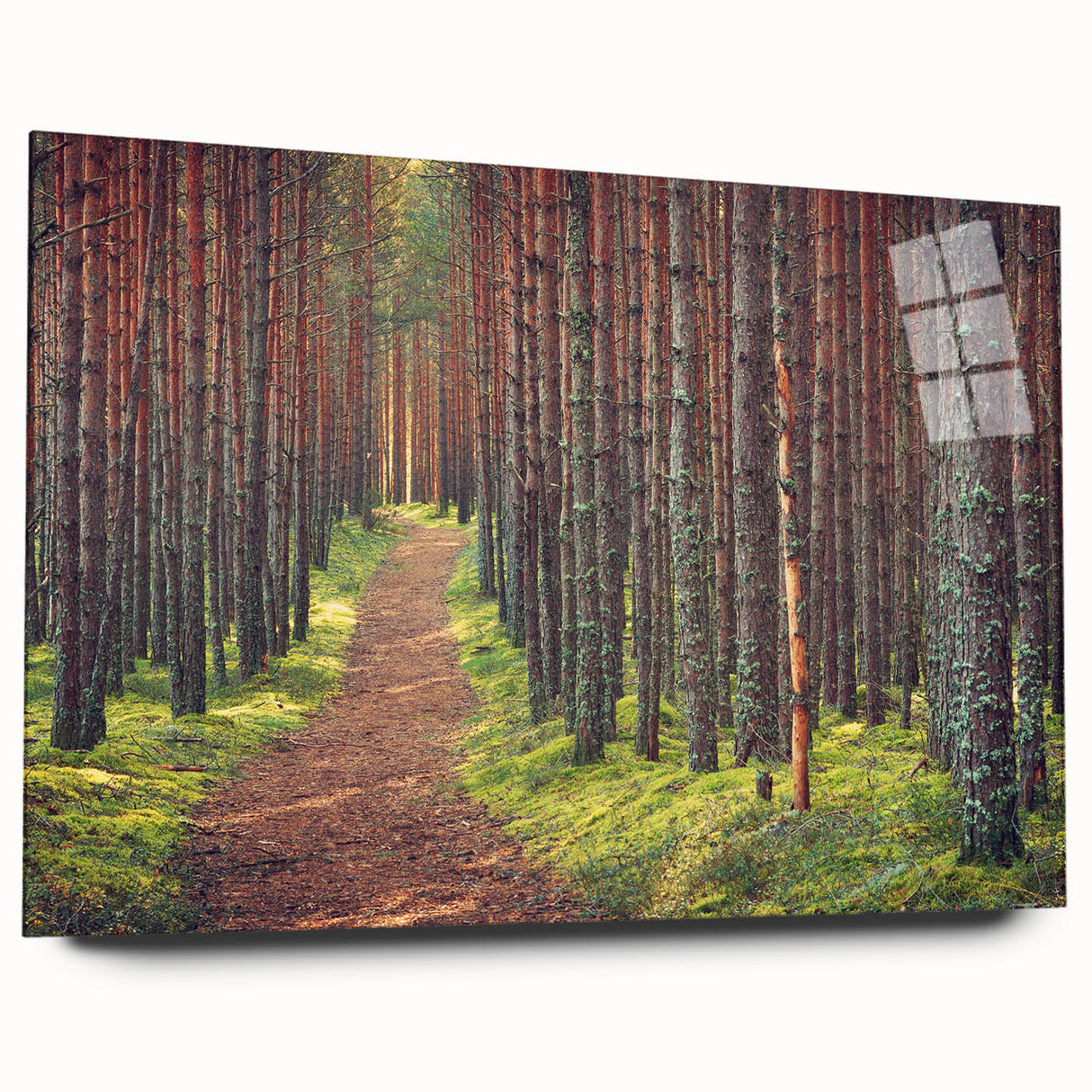 Large abstract wall art on acrylic glass depicting serene Estonian scenery in cool blue and green tones.