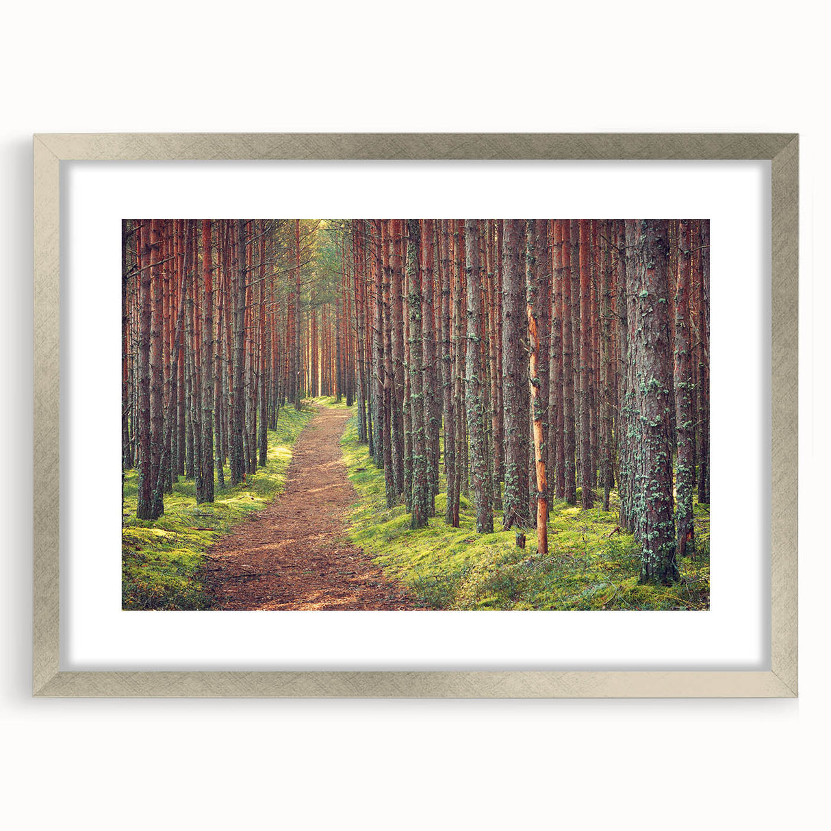 Extra large abstract art print depicting a textured European scenery in muted earth tones, framed in silver.