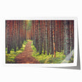 Extra large rolled print of a European Estonian landscape with muted green and blue tones, ideal for art wall dining room.