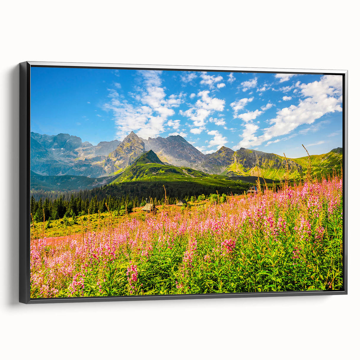 Black and white vintage poster art of a Slovakian landscape on framed canvas, ideal for bedroom decor.