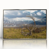Mid-century modernist art of Denali, Alaska, in silver acrylic frame, using cool blue and gray tones.