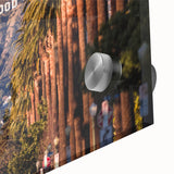 Large abstract wall art featuring Beverly Hills scenery in pastel shades on acrylic glass, ideal for dining room ambiance.