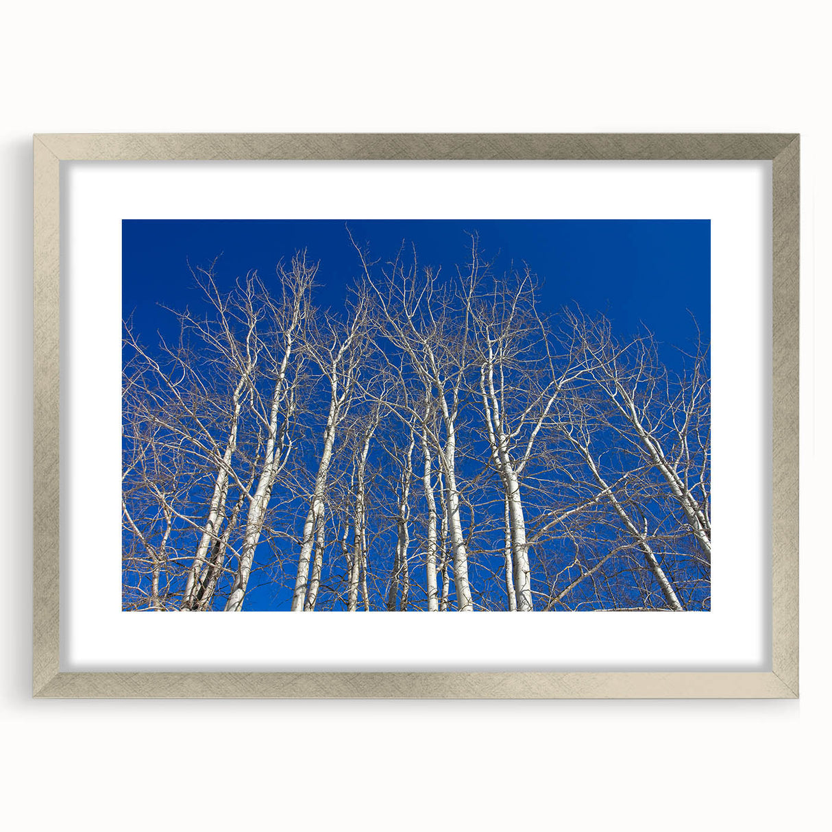 Textured art print depicting abstract aspen trees in muted earth tones, framed in silver, suitable for bedroom decor.