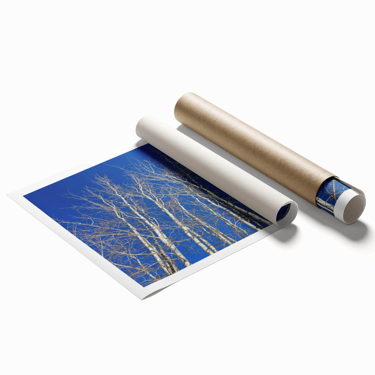 Extra large rolled print of Aspen, Colorado scenery with vibrant autumn colors, ideal for classy bathroom wall art.
