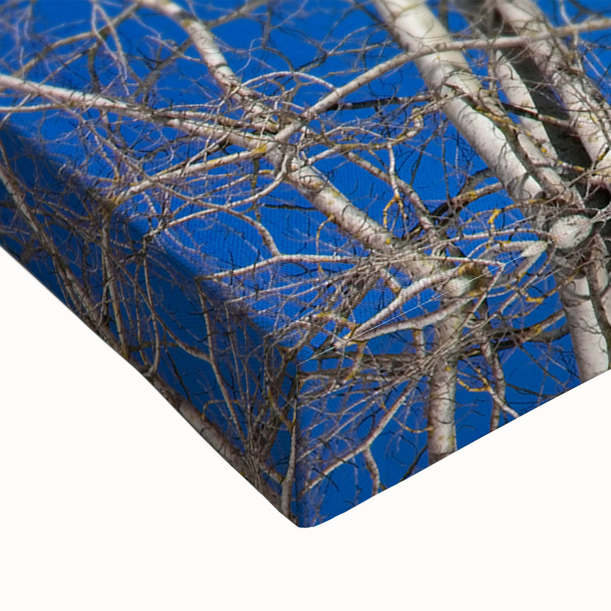 Black and white landscape art painting of Aspen, Colorado on stretched canvas, ideal for bedroom wall decor.