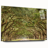 Acrylic print of Savannah, Georgia, with vibrant twilight hues, ideal for dining room decor.