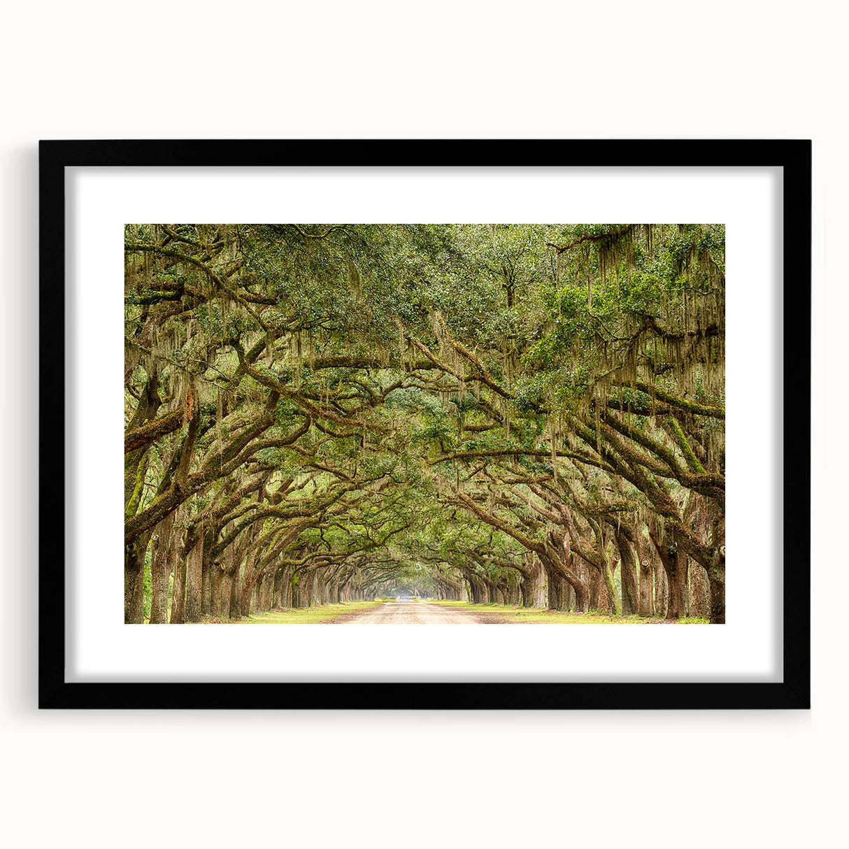 Extra large abstract art print of Savannah scenery in vibrant colors on a textured canvas, framed in black.