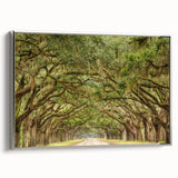 Framed canvas of Savannah landscape with vintage poster art style, featuring colorful palette on black background.