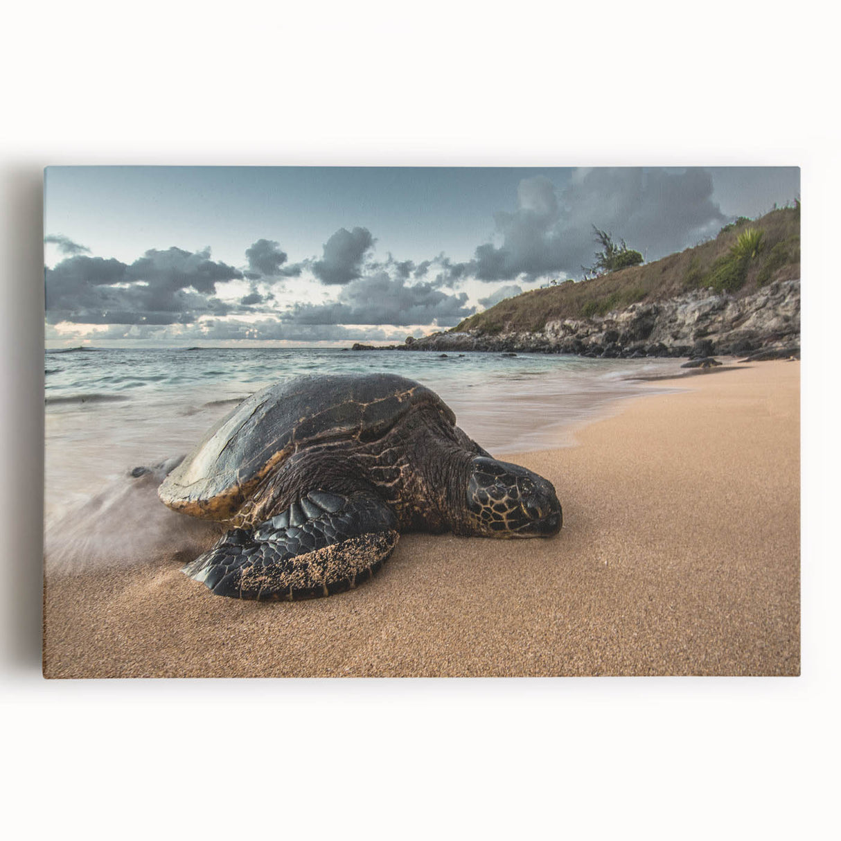 Black and white stretched canvas of Maui scenery, featuring a panoramic view, ideal for kitchen wall art.