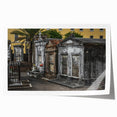 Rolled print of New Orleans scenery with floral elements in muted earth tones, ideal for art wall dining room.