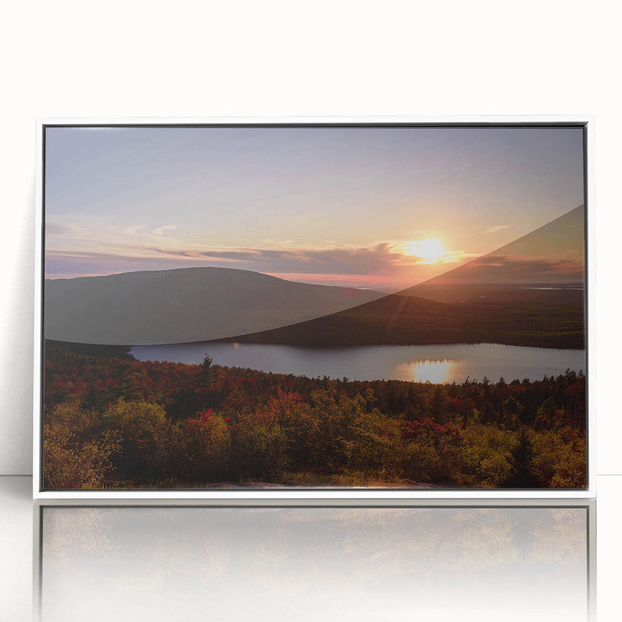 Acadia National Park scenery on white framed acrylic, featuring muted earth tones.
