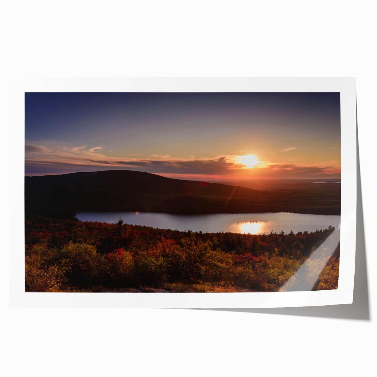 Acadia National Park scenery on a rolled canvas print featuring vibrant green and blue tones, ideal for art wall dining room.