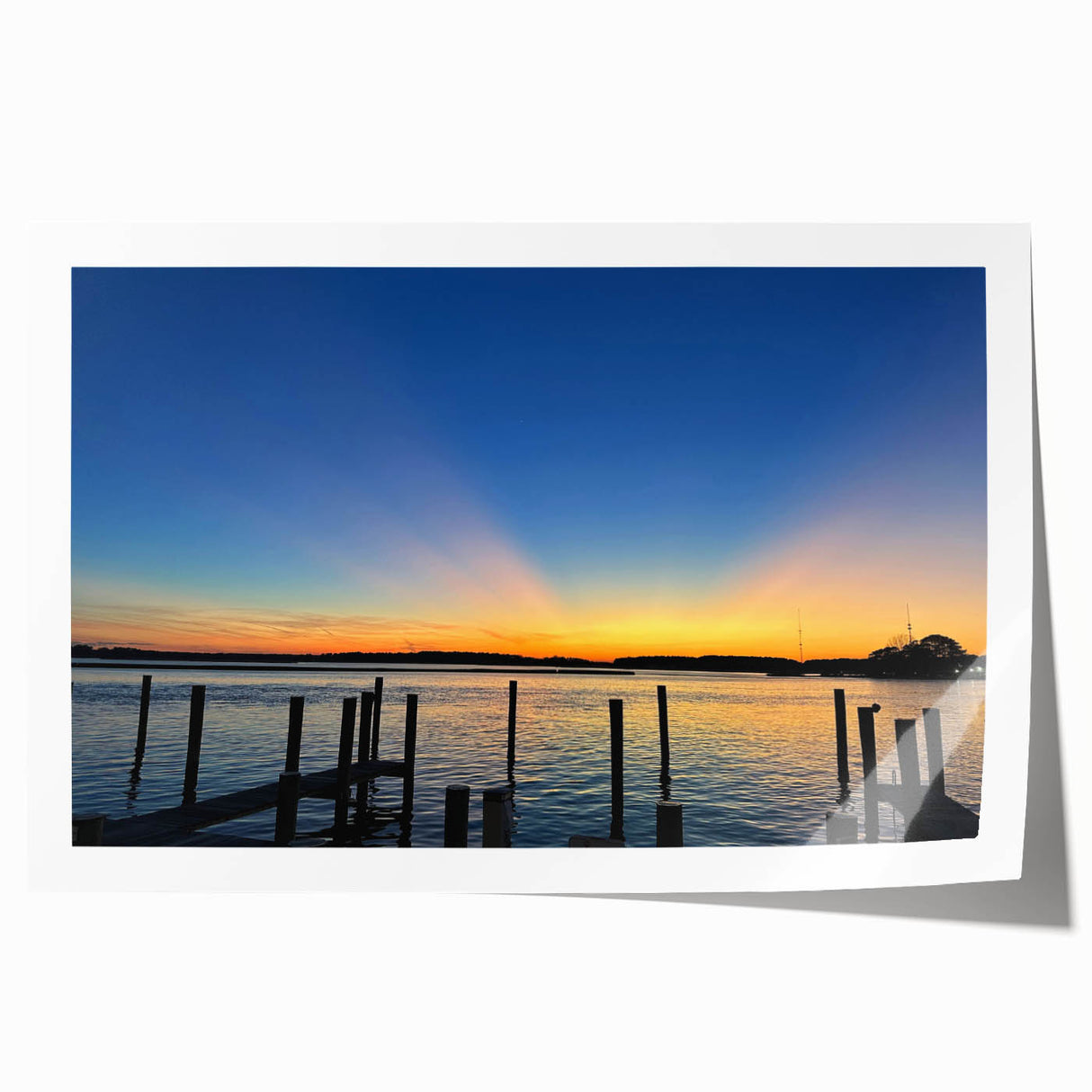 Extra large rolled print of Annapolis scenery with vibrant floral elements, ideal for dining room wall art.