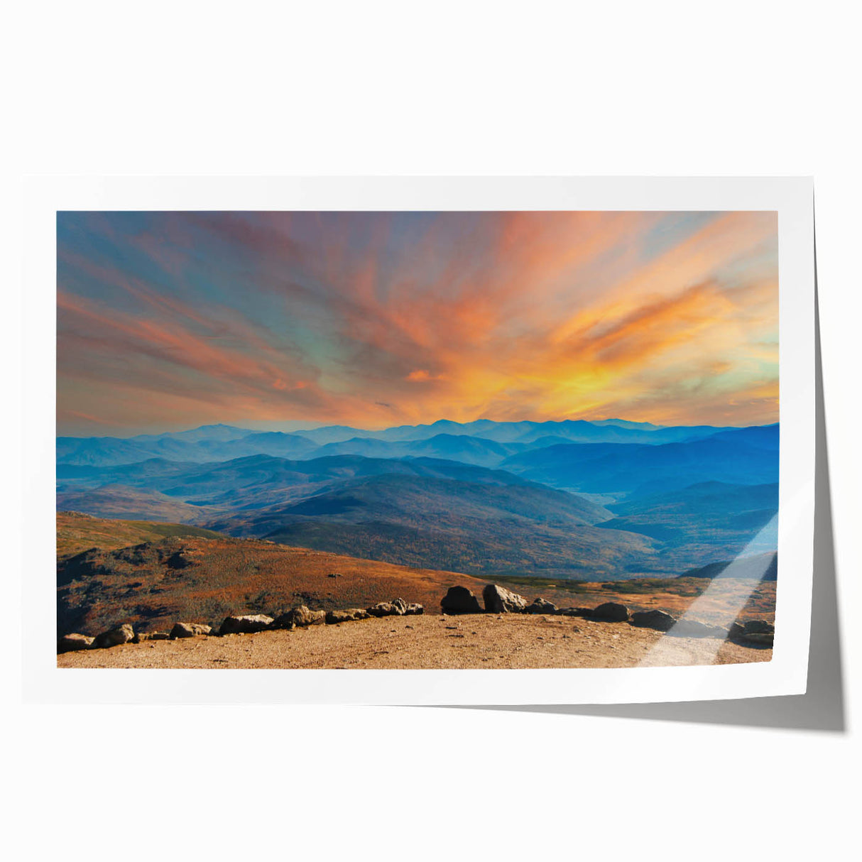 Rolled print of a New Hampshire landscape with lush greenery and floral elements in soft earth tones.