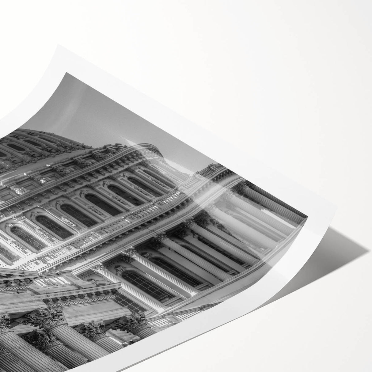 Extra large wall art featuring a line art design of flowers with Washington D.C.