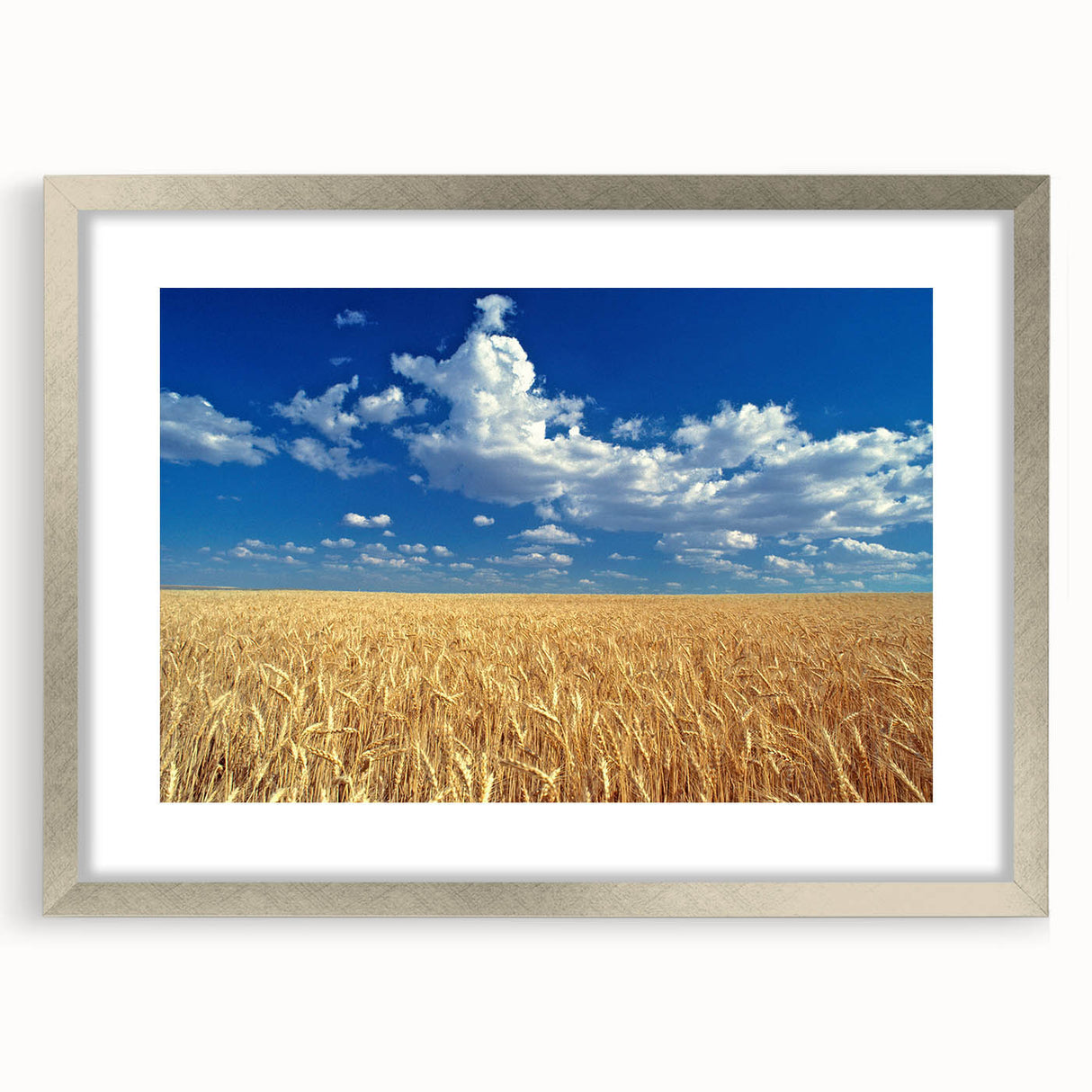 Textured art depicting abstract rolling hills of Palouse in muted earth tones, framed in silver.