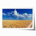 Rolled print of the Palouse scenery in Washington featuring expansive green hills under a clear sky.