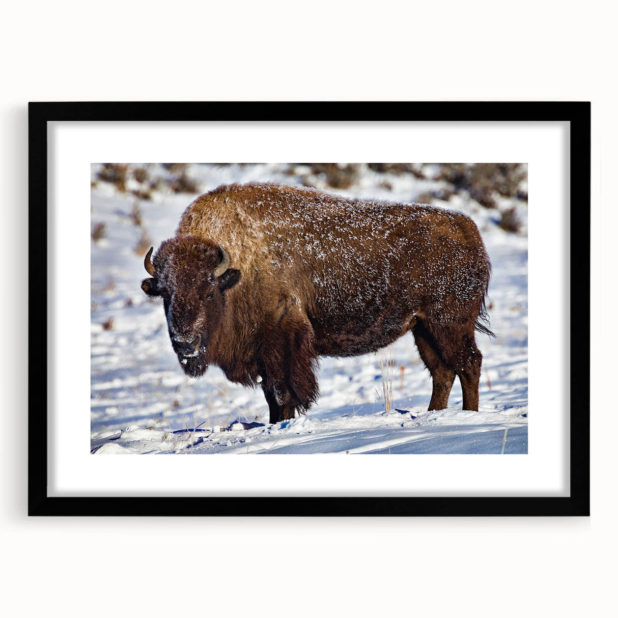 Extra large abstract art print of Yellowstone scenery in colorful textured style, framed with black mat.