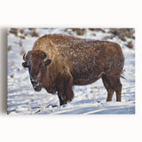 Black and white photo of Yellowstone Park on stretched canvas, ideal for kitchen wall art.