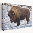 Yellowstone National Park landscape on large stretched canvas, featuring vivid green and blue tones.