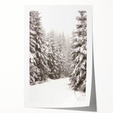 Winter-themed floral art on rolled canvas, using cool blue and white tones, ideal for art wall dining room.