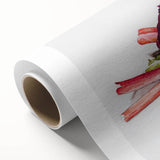 Modern Wall Art: Still Life with Red Cabbages, Rhubarb, and Orange