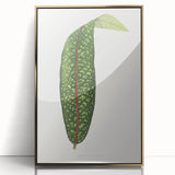 Classic Romantic Paintings - Historical Romanticism Canvas Wall Art