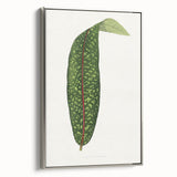 Classic Romantic Paintings - Historical Romanticism Canvas Wall Art