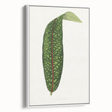 Classic Romantic Paintings - Historical Romanticism Canvas Wall Art