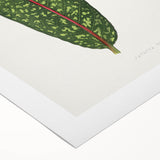 Classic Romantic Paintings - Historical Romanticism Canvas Wall Art