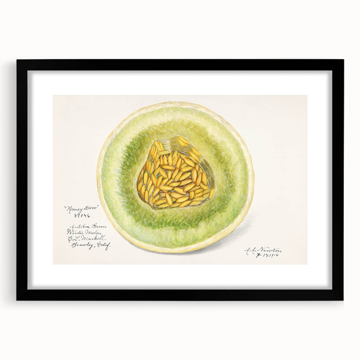Extra large abstract art print of colorful, textured fruits on a black framed canvas, ideal for living room decor.