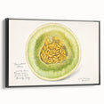Black and white vintage poster art featuring an assortment of fruits, framed canvas, ideal for bedroom wall decor.