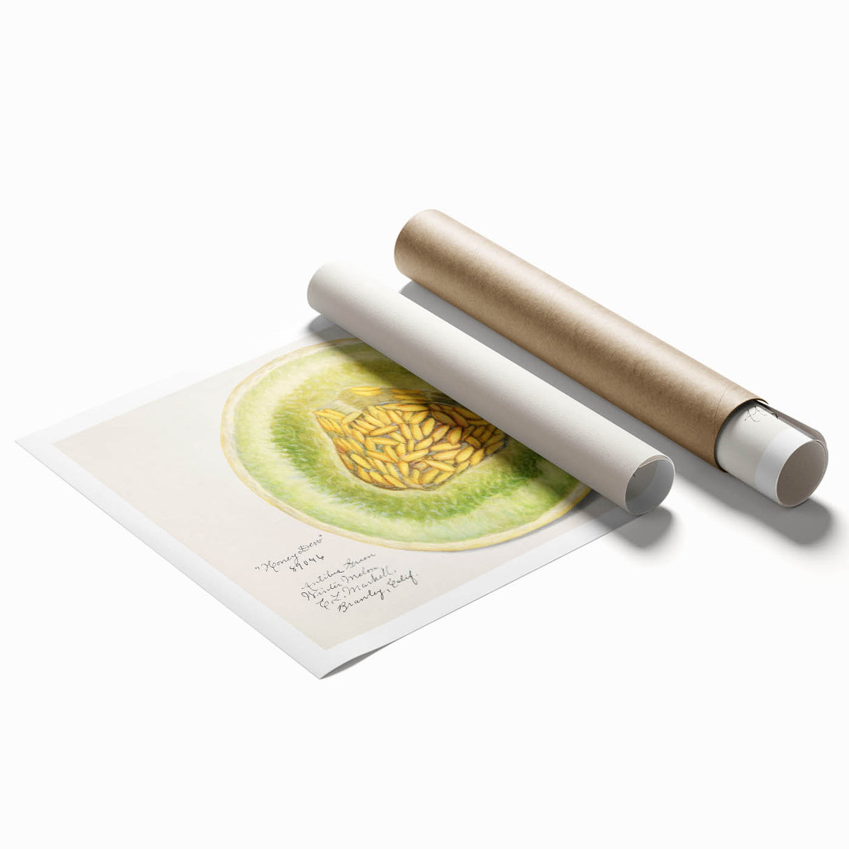 Extra large rolled print featuring colorful floral art, ideal for classy bathroom or large living room decor.