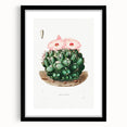 Famous Romantic Era Art - Mammillaria Cactus Romanticism Print