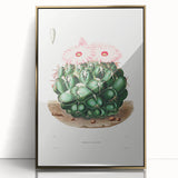 Famous Romantic Era Art - Mammillaria Cactus Romanticism Print