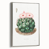 Famous Romantic Era Art - Mammillaria Cactus Romanticism Print