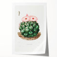 Famous Romantic Era Art - Mammillaria Cactus Romanticism Print